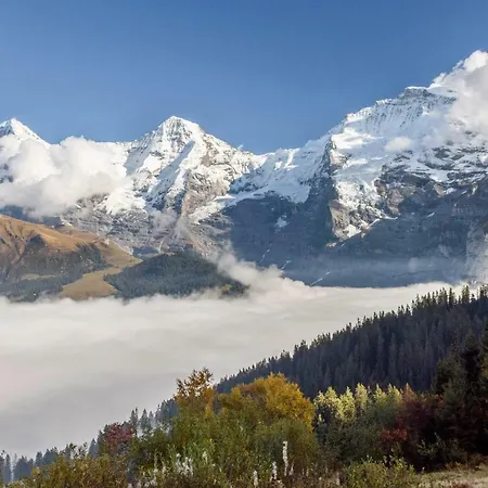 Hafod A Hendre Apartamento