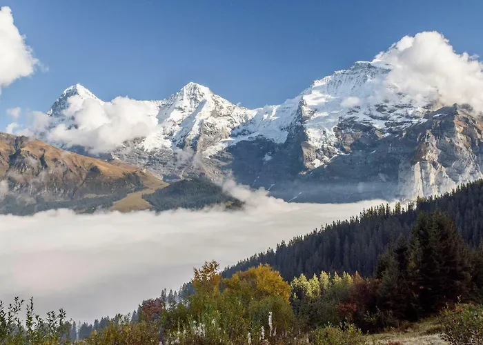 Hafod A Hendre Apartment